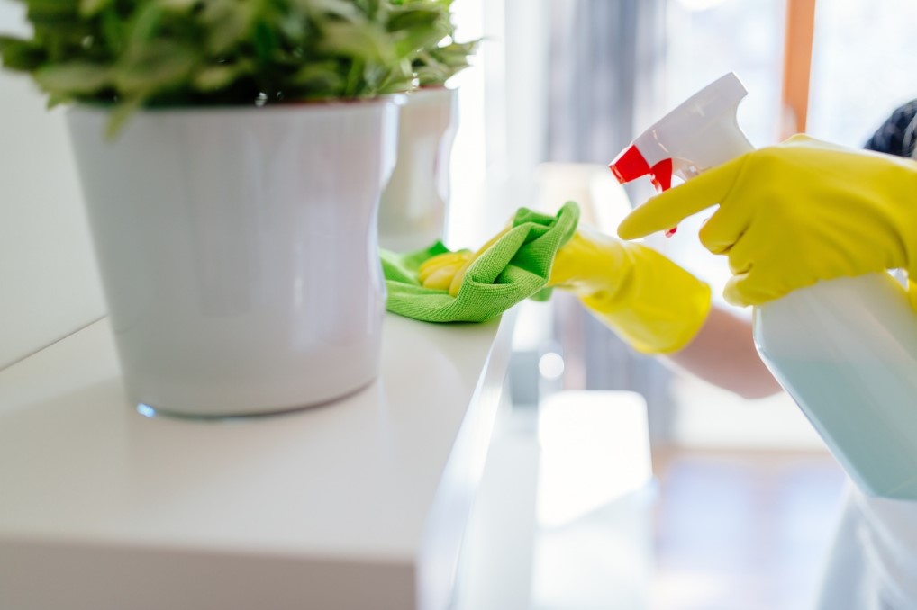 Cleaning Service